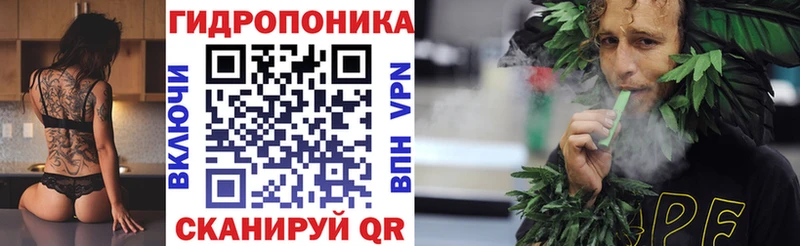 Бошки Шишки планчик  Жирновск 